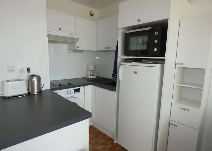 아파트 T2 - Quartier Anime, Vue Mer, Parking Prive - Fr-1-328-260